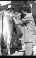 Hey Bossy...could you moooooove to the left a bit?
