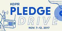 PledgeDrive17